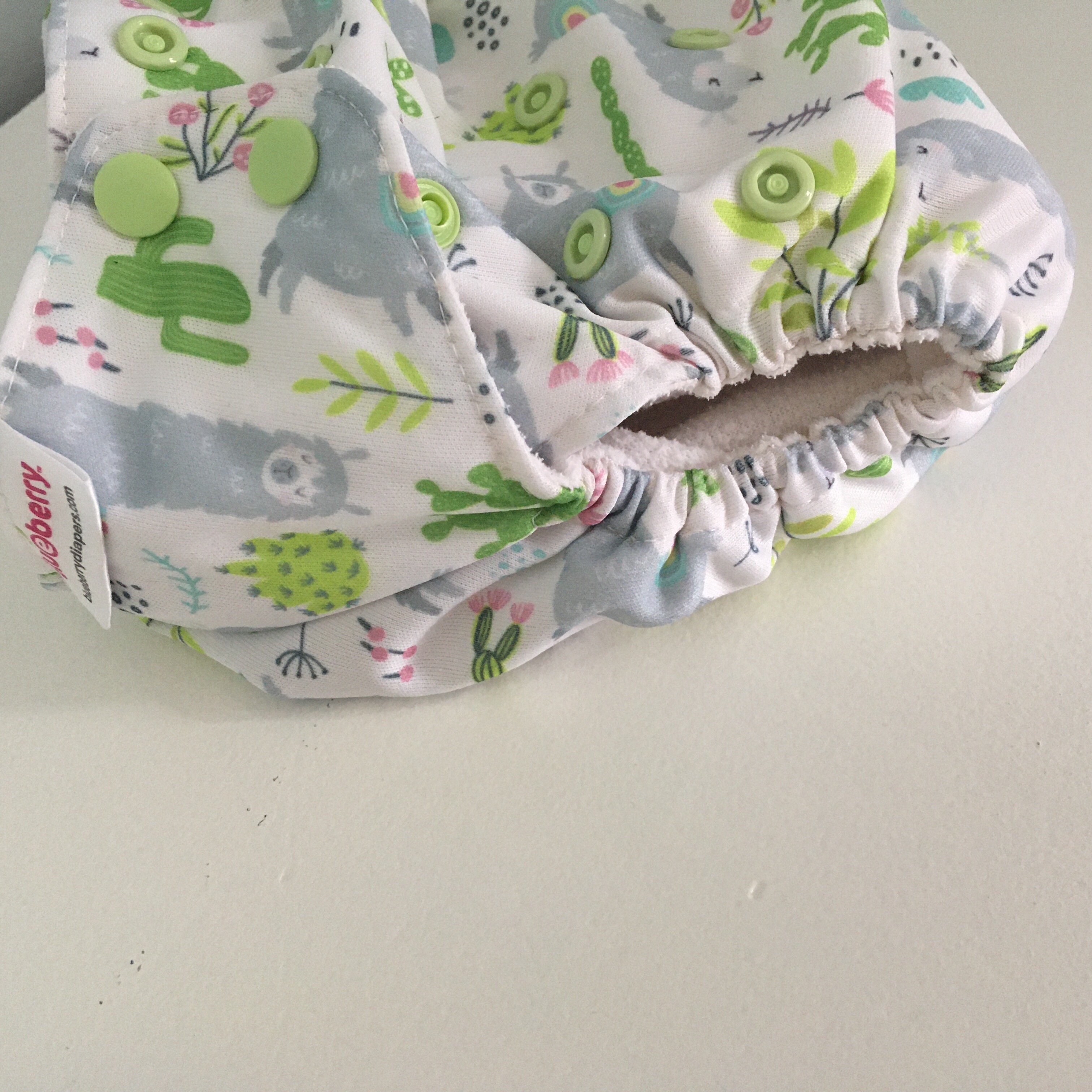 Blueberry reusable hot sale nappies