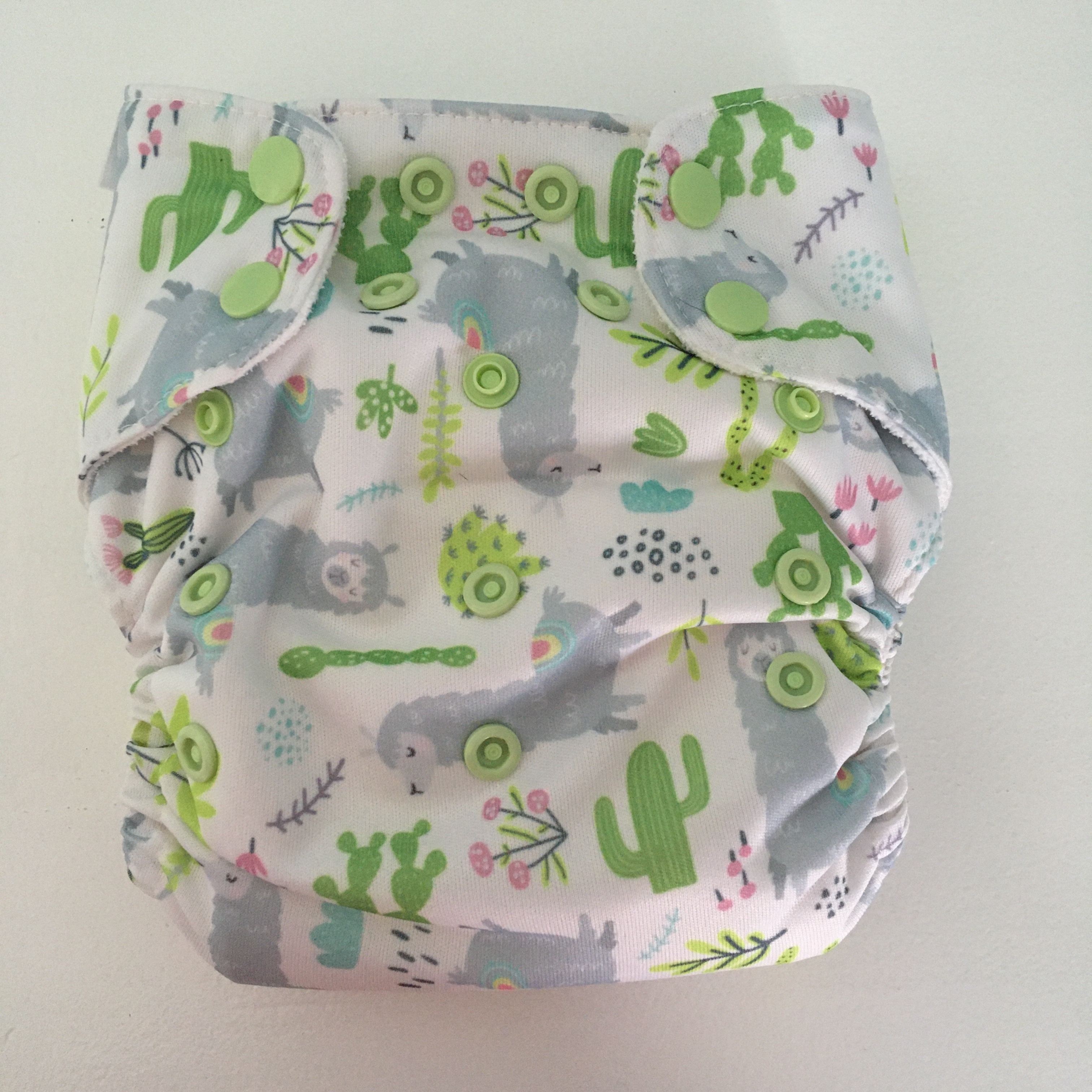 blueberry reusable nappies