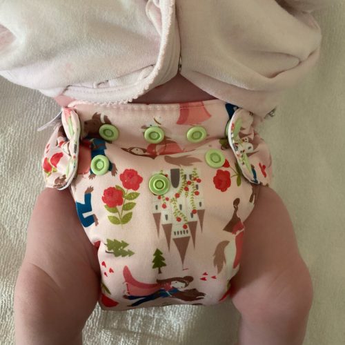 Blueberry Organic Cotton Simplex AIO Diaper